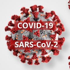 COVID-19 